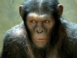 sc-1D274905685215-oom-110804-planet-of-apes-1230p.blocks_desktop_medium