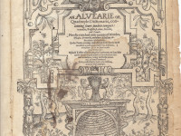 Buzz or honey? Shakespeare’s Beehive raises questions